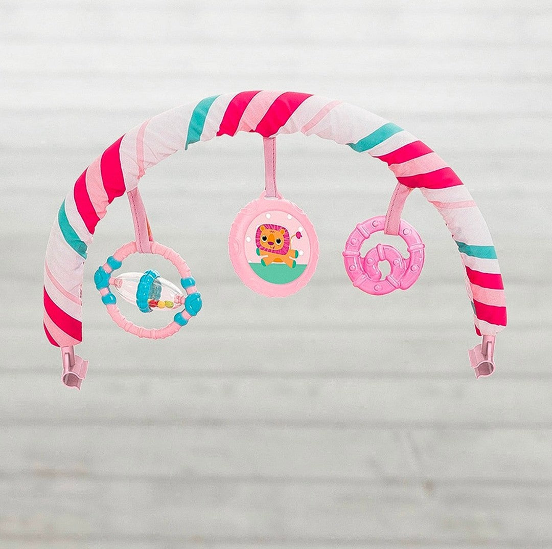 Musical Vibrating Bouncer 6936/6938