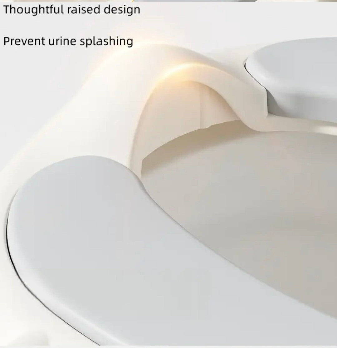 Step Ladder Potty Seat