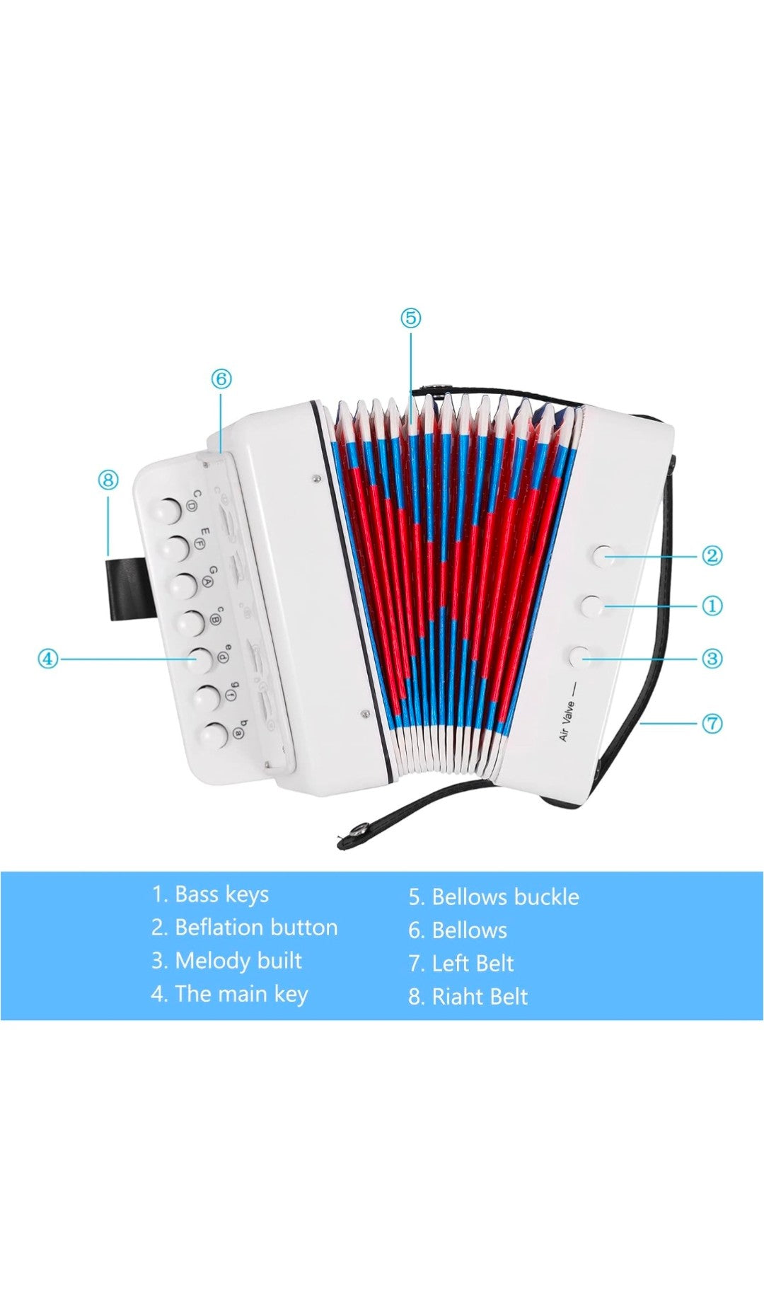 Accordion