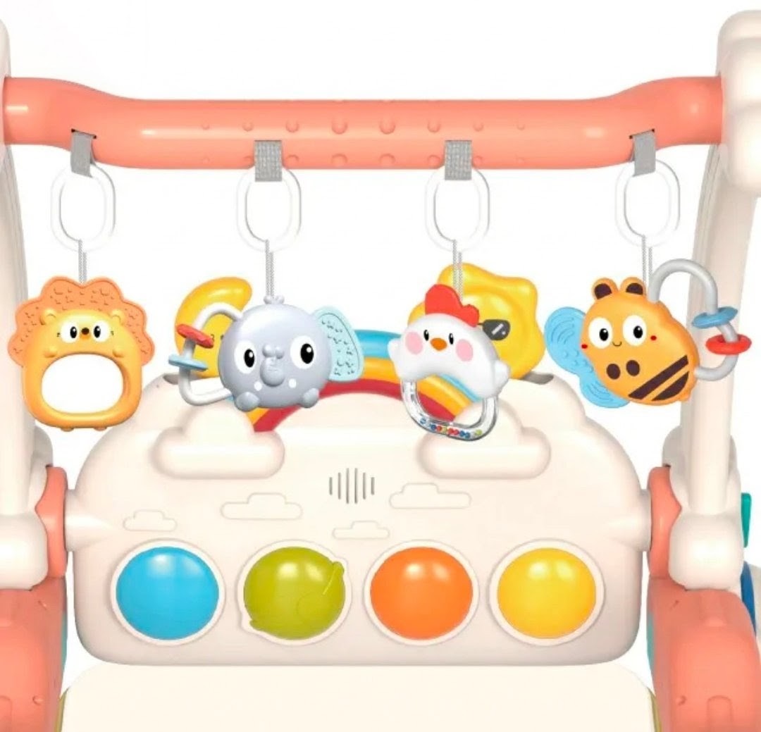 Fitness Baby Walker 0m+