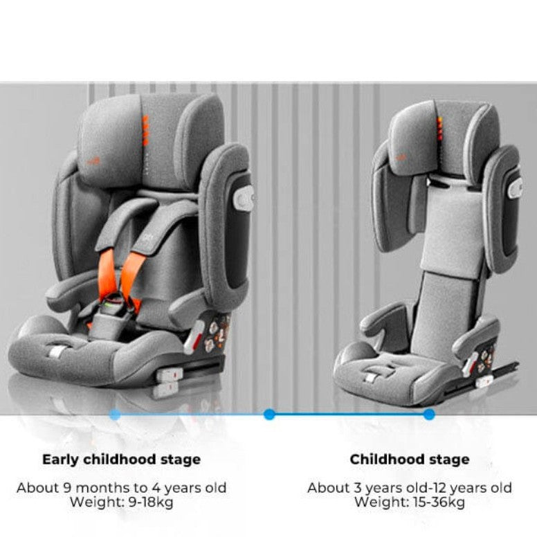GB Pockit Armor car seat