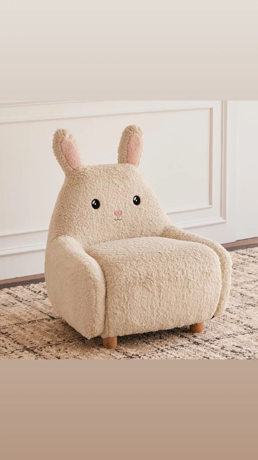 Kids Sofa Arm Chairs Animals